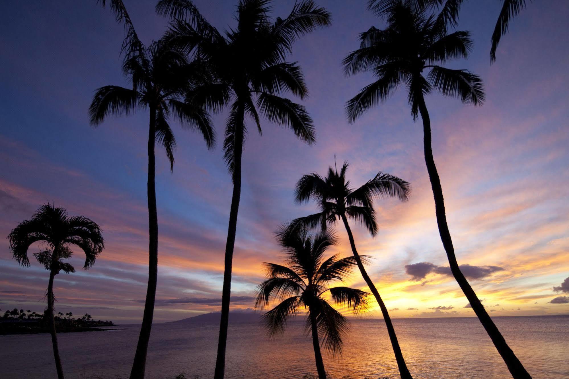 Napili Kai Beach Resort Lahaina Exterior photo